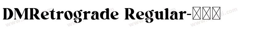 DMRetrograde Regular字体转换